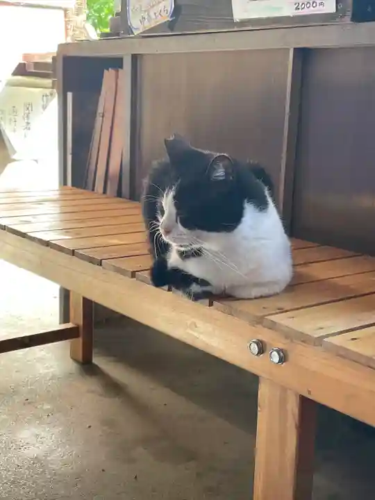 浄瑠璃寺(京都府)