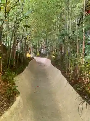 來宮神社(静岡県)