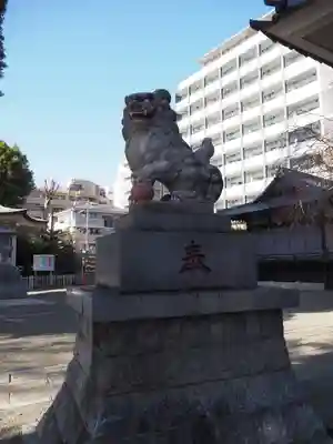荻窪白山神社の狛犬