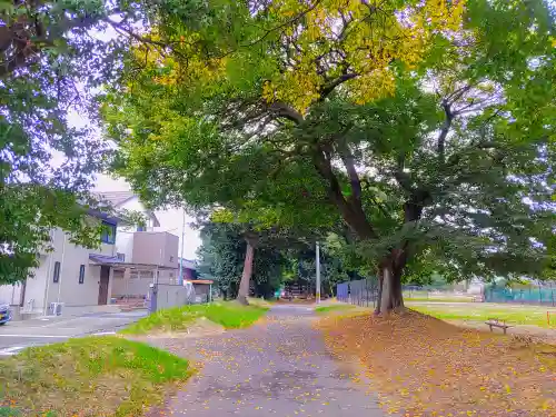 八劔社（赤池町）の建物その他