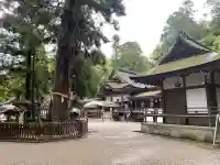 大神神社の{uncategorized: "未分類", other: "その他", undefined: "問題あり", building: "その他建物", grave: "お墓", sacred_gate: "鳥居", guardian: "狛犬", statue: "像", buddha: "仏像", history: "歴史", nature: "自然", garden: "庭園", animal: "動物", pagoda: "塔", temizu: "手水舎", mountain_gate: "山門・神門", sanctuary: "本殿・本堂", subordinate: "末社・摂社", art: "芸術", scenery: "景色", jizo: "地蔵", ema: "絵馬", goshuin: "御朱印", omikuji: "おみくじ", items: "授与品その他", amulet: "お守り", goshuincho: "御朱印帳", eats: "食事", festival: "お祭り", votive_dance: "神楽", shichigosan: "七五三参", wedding: "結婚式", experience: "体験その他", initially: "初詣", around: "周辺", anti_infection: "感染症対策"}
