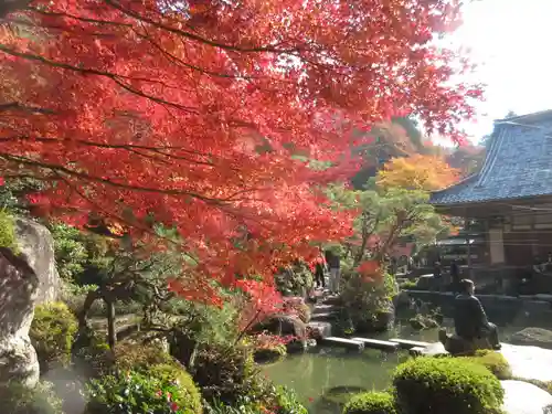 百済寺の庭園