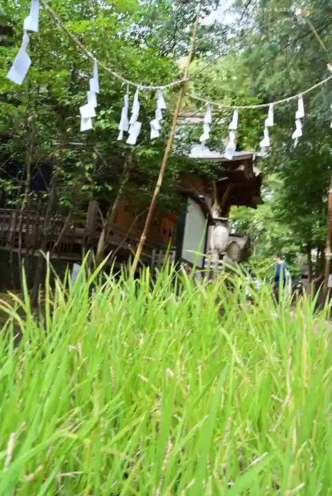 氷川女體神社(埼玉県)