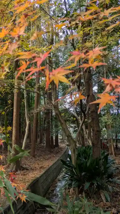 建部大社(滋賀県)
