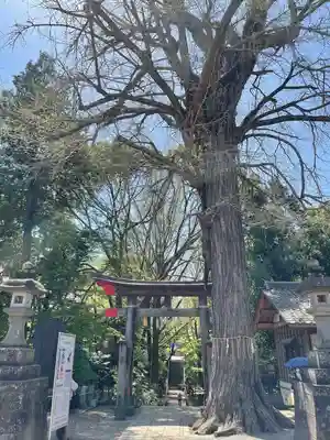 下総国三山　二宮神社のその他建物