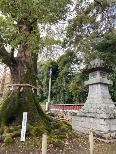 薦神社の自然