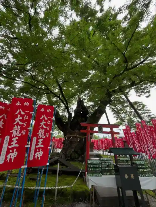 秩父今宮神社(埼玉県)