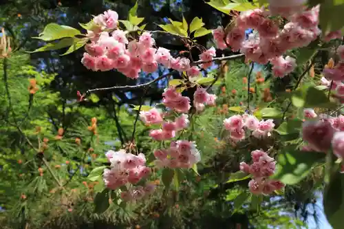 開成山大神宮の庭園