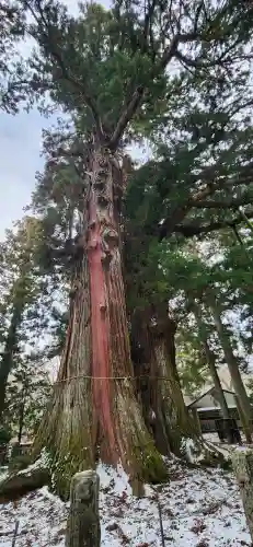 塩原八幡宮の周辺