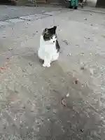 代々木八幡宮(東京都)