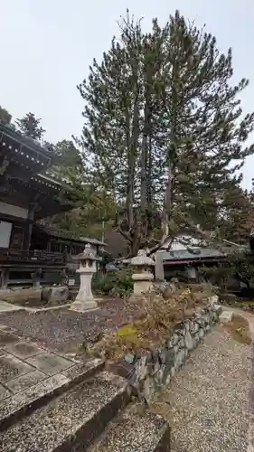 飯室谷不動堂 長寿院(滋賀県)