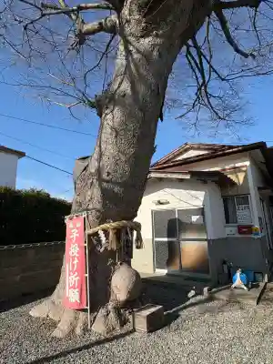 須賀神社(宮城県)