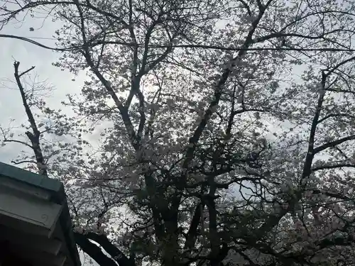 元町厳島神社(神奈川県)