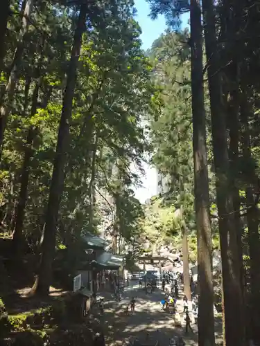 飛瀧神社（熊野那智大社別宮）(和歌山県)