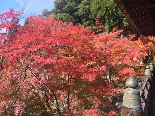 播州清水寺の自然