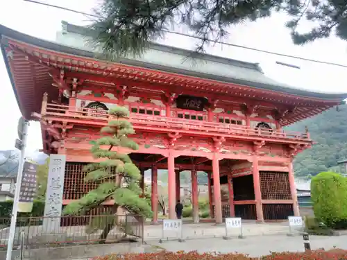 甲斐善光寺の山門