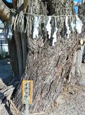 八大龍王辨財天(京都府)