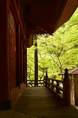 橋立堂(埼玉県)