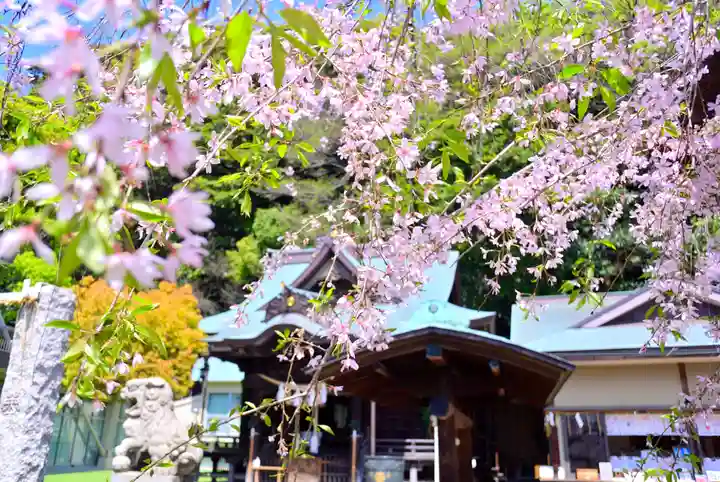 根岸八幡神社(神奈川県)