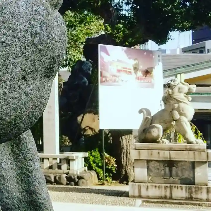 神田神社(神田明神)の狛犬