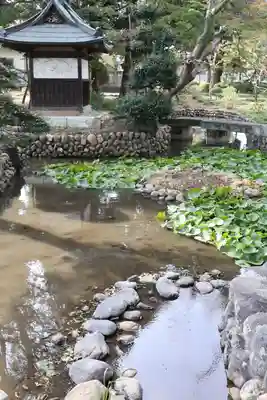 蓮花院(埼玉県)