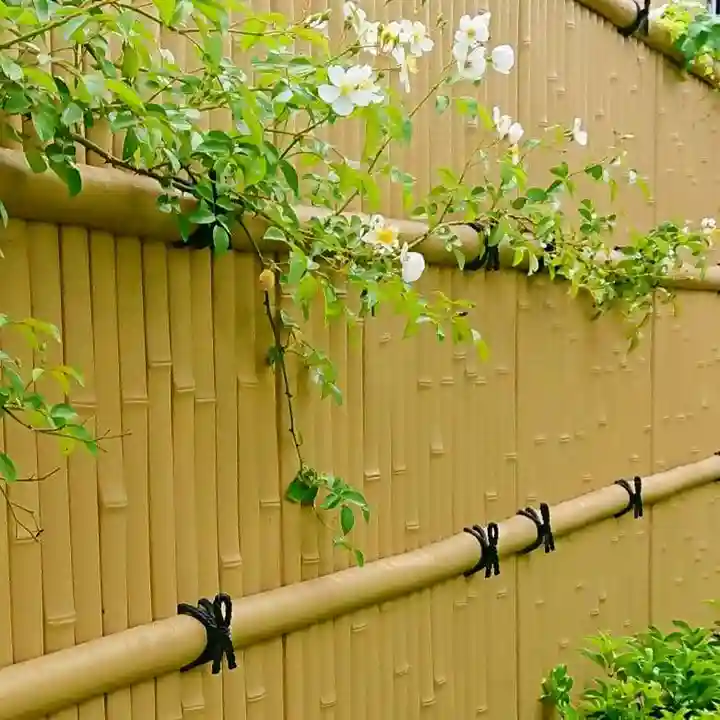 寿量山 速成寺の自然