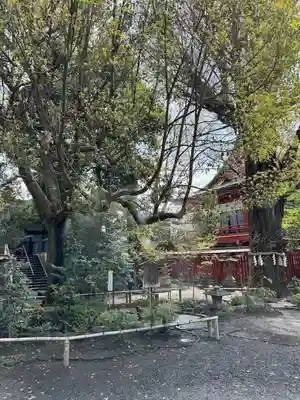 秩父神社(埼玉県)