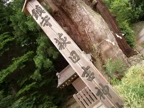 萩日吉神社(埼玉県)