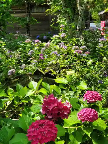 石都々古和気神社(福島県)