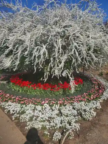 寺岡山元三大師の自然