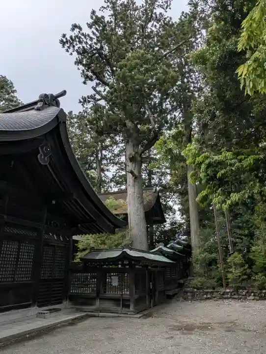 雄山神社峰本社の{uncategorized: "未分類", other: "その他", undefined: "問題あり", building: "その他建物", grave: "お墓", sacred_gate: "鳥居", guardian: "狛犬", statue: "像", buddha: "仏像", history: "歴史", nature: "自然", garden: "庭園", animal: "動物", pagoda: "塔", temizu: "手水舎", mountain_gate: "山門・神門", sanctuary: "本殿・本堂", subordinate: "末社・摂社", art: "芸術", scenery: "景色", jizo: "地蔵", ema: "絵馬", goshuin: "御朱印", omikuji: "おみくじ", items: "授与品その他", amulet: "お守り", goshuincho: "御朱印帳", eats: "食事", festival: "お祭り", votive_dance: "神楽", shichigosan: "七五三参", wedding: "結婚式", experience: "体験その他", initially: "初詣", around: "周辺", anti_infection: "感染症対策"}
