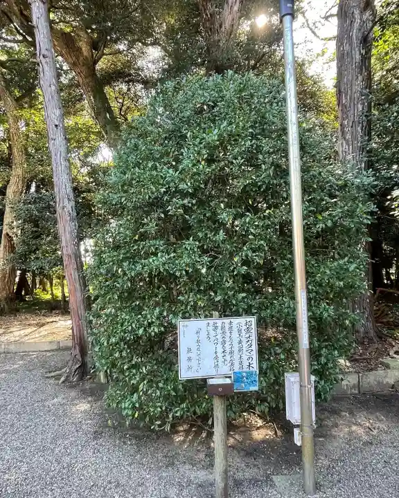 息栖神社の自然
