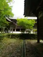 朝光寺のその他建物