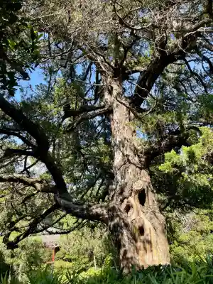 寿福寺(神奈川県)