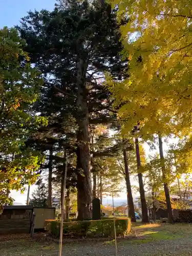 大宮神社のその他建物