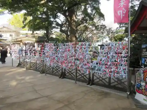 江島神社のおみくじ