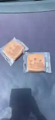 洞雲寺(静岡県)