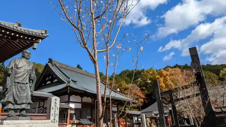 本圀寺(京都府)