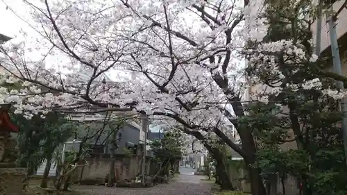 秋葉神社(東京都)