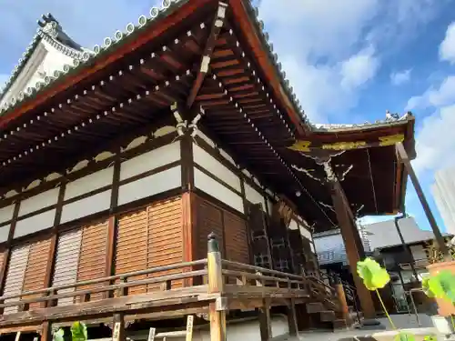 善導寺の本殿・本堂