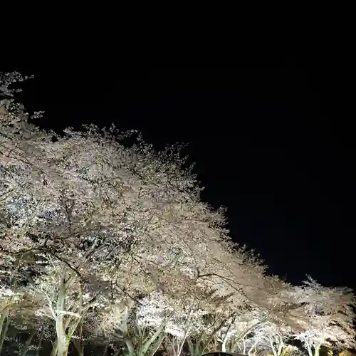 楽法寺（雨引観音）の庭園