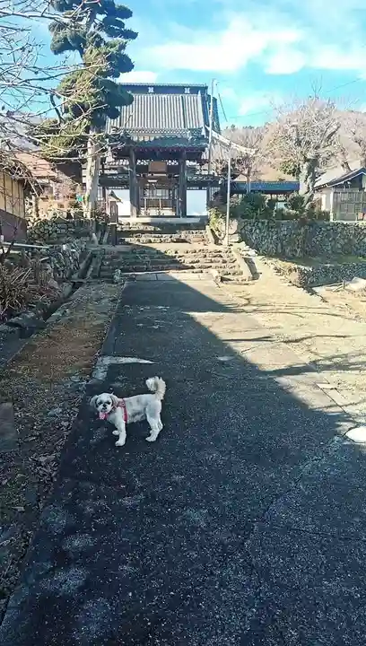 常泉寺のその他建物