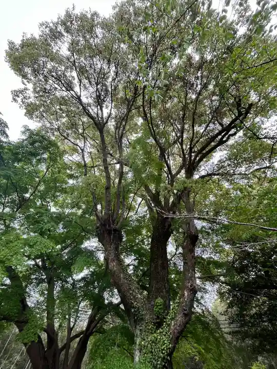 丹生官省符神社(和歌山県)