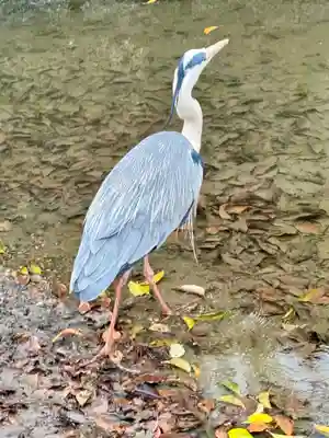 東寺（教王護国寺）(京都府)