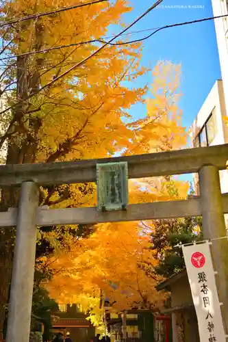 銀杏岡八幡神社(東京都)