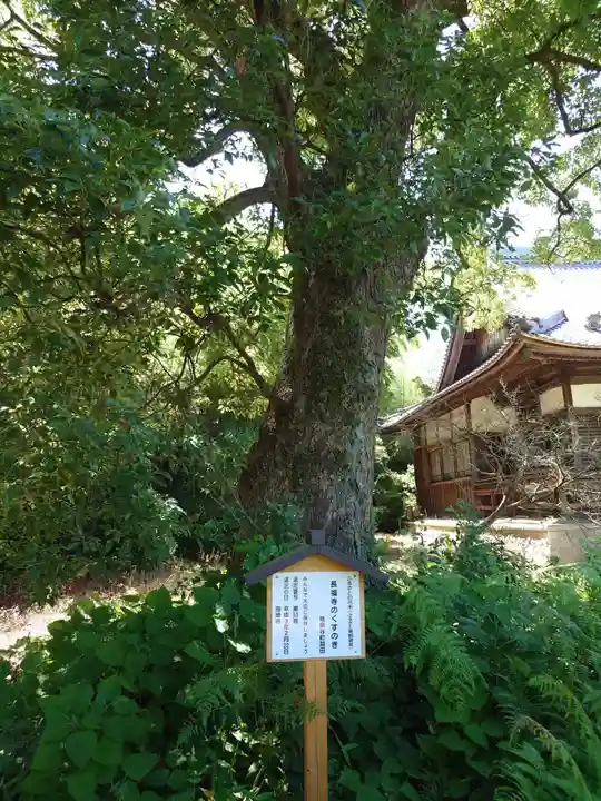 長福寺(愛知県)
