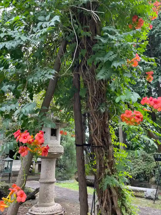 荘厳寺(栃木県)