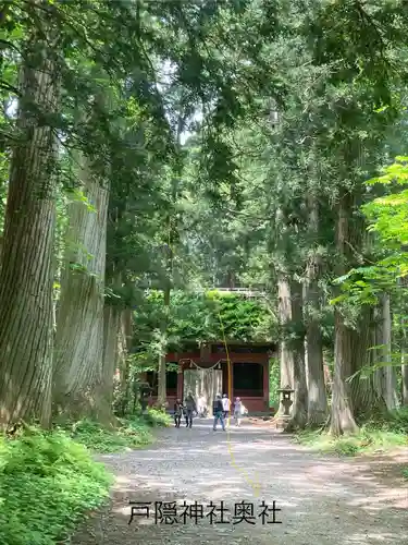 戸隠神社九頭龍社(長野県)