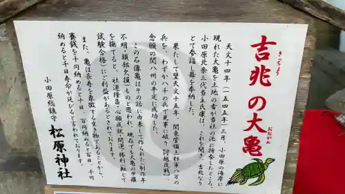 松原神社の{uncategorized: "未分類", other: "その他", undefined: "問題あり", building: "その他建物", grave: "お墓", sacred_gate: "鳥居", guardian: "狛犬", statue: "像", buddha: "仏像", history: "歴史", nature: "自然", garden: "庭園", animal: "動物", pagoda: "塔", temizu: "手水舎", mountain_gate: "山門・神門", sanctuary: "本殿・本堂", subordinate: "末社・摂社", art: "芸術", scenery: "景色", jizo: "地蔵", ema: "絵馬", goshuin: "御朱印", omikuji: "おみくじ", items: "授与品その他", amulet: "お守り", goshuincho: "御朱印帳", eats: "食事", festival: "お祭り", votive_dance: "神楽", shichigosan: "七五三参", wedding: "結婚式", experience: "体験その他", initially: "初詣", around: "周辺", anti_infection: "感染症対策"}