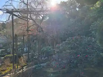 一條殿 新善光寺(京都府)